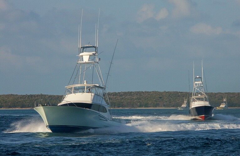 Click to See Next Image